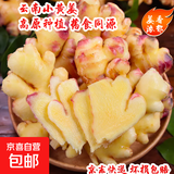 云南农家自种小黄姜生姜新鲜老姜土姜产地直发 净重 250g 云南小黄姜产地直发