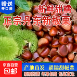 【秋果之王】25年丹东新鲜板栗现摘现发粉糯香甜蔬菜水果 丹东板栗 1斤