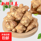 【天然胰岛果】新鲜洋姜可腌制鬼子姜姜不辣农家蔬菜菊芋泡菜 洋姜中大果带箱1斤装 净重 460g