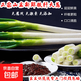 山东大葱去皮裁半叶新鲜蔬菜水果大葱调料生鲜净葱长白葱 优选 带箱2斤净重1.5斤 现挖现发