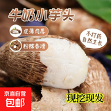 【真便宜】正宗新鲜牛奶芋头蔬菜芋艿香甜粉糯早餐代餐辅食 2斤含箱 现挖小芋头（小果）