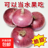 山东特产水果扁洋葱甜瓜口感红皮扁葱头生吃脆甜蘸酱好吃粉嫩 紫皮洋葱大果带箱 3斤 精选