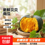 京喜加百万复购贝贝南瓜板栗味小南瓜500g±50g小果正宗新鲜粉糯香甜自然板栗香宝宝辅食优选健康营养