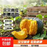 京喜加新瓜下市正宗贝贝南瓜新鲜现摘宝宝辅食优选低脂健康蔬菜1斤装营养丰富粉糯香甜