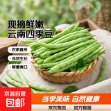 农家四季豆新鲜现摘云南长扁豆角农家应当季蔬菜芸豆现摘菜豆 新鲜四季豆1斤
