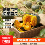 京喜加【新瓜下市】正宗贝贝南瓜宝宝辅食新鲜蔬菜生鲜减肥减脂 贝贝南瓜 2斤 带箱