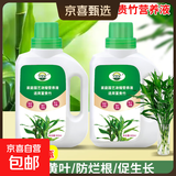 富贵竹专用营养液水养水培植物肥料转运观音竹子家用治黄叶通用 富贵竹专用营养液500ml×2瓶