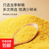 黄小米 油小米月子米 新鲜正宗黄小米新米农家小米粥五谷杂粮 油小米250g