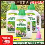 植物营养液通用型家用盆栽发财树富贵竹绿萝水培花卉绿植蔬菜肥料 通用营养液500ml×3瓶＋喷壶