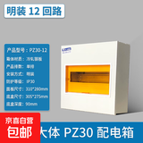 PZ30回路配电箱工程用明装家用空气开关箱暗装强电箱国标电箱总控 国标12回路明装