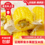 云南水果甜玉米段 真空包装开袋即食玉米早餐低脂免煮代餐 精选水果玉米段4段（单段80-150g）