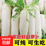 新鲜白萝卜现挖甜脆沙地水果萝卜胡萝卜农家蔬菜营养健康营养 新鲜白萝卜 7.7-8带箱