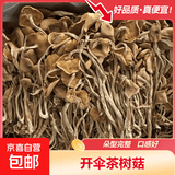 豫农乡珍茶树菇干货甄选不开伞新货菌菇农家自产福建古田特产菌菇 50g茶树菇（开伞）