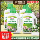植物营养液通用型家用盆栽发财树富贵竹绿萝水培花卉绿植蔬菜肥料 通用营养液500ml×4瓶