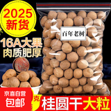 桂圆干16A特级大果2025年新货核小肉厚福建龙眼干特产 16A大果【壳薄肉厚】 500克（一斤装）
