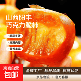 阳丰脆柿 新鲜巧克力柿子 吃硬的应季水果  脆甜可口 带箱5斤 单果100g+ 约19-21个左右