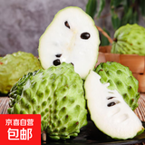 京喜加水果冰淇淋牛奶凤梨释迦番荔枝 释迦果2斤(单个150g起）净重1.8斤