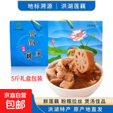 2025年新鲜湖北洪湖粉藕莲藕国家地理标志蔬菜 抢先上市 洪湖粉藕 5斤装中段