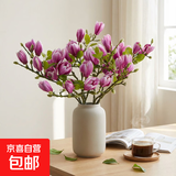 【玉兰】水培切枝花卉带花苞遇水开花室内植物好养绿植净化空气 紫玉兰鲜枝60-80厘米15枝(带花苞)开花爆满