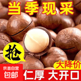 夏威夷果带壳送开口器奶油味休闲食品坚果干果每日坚果 夏威夷果500g*5袋（18-21mm）