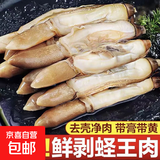 无冰去壳速冻蛏王肉大个冷冻蛏子肉海鲜水产鲜活圣王肉竹蛏肉贝类 500g*1包（无冰） 500g