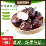 广西荔浦新鲜马蹄水果荸荠红薯即食早餐生鲜超市直播间京东包邮 新鲜水果马蹄4斤 含箱