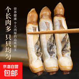 无冰去壳速冻蛏王肉大个冷冻蛏子肉海鲜水产鲜活圣王肉竹蛏肉贝类 200g*6包（无冰） 1200g
