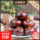 广西荔浦新鲜马蹄水果荸荠红薯即食早餐生鲜超市直播间京东包邮 新鲜水果马蹄3斤 含箱