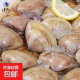 东港大黄蚬子350g每袋丹东特产礼品 2袋