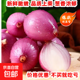 【小洋葱】山东新鲜紫红皮小洋葱即食超市生鲜小葱头蔬菜生鲜 1斤精品小洋葱净重0.8斤