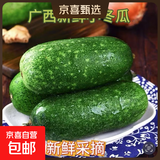 高山小香冬瓜当季新鲜蔬菜生鲜刮油减肥烧烤食材 小冬瓜 3斤 带箱