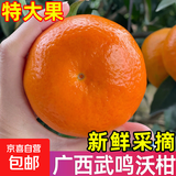 广西武鸣沃柑新鲜当季水果大果桔子皇帝蜜橘砂糖柑橘整箱京东物流 【超值】带箱9斤果王（约净重8.6斤）