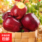 【精选】正宗甘肃花牛苹果新鲜红蛇果脆甜粉糯两吃5斤高档礼盒装 带箱5斤净重4.5斤70-80mm 脆甜粉糯一果两吃