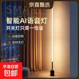 落地灯ins简约北欧led客厅现代轻奢卧室台灯床头灯墙角护眼氛围灯 【插电100CM】按键暖光