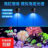 品牌同厂晶普达原生溪流缸鱼缸筒灯led全光谱水草爆藻金鱼出苔灯 【90度透镜款】蓝白光15W含支架