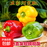 【东东买菜】大棚品质五彩椒水果彩椒明星减脂低卡蔬菜食材 （红黄绿随机）1斤