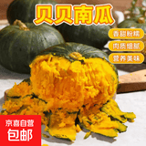 正宗贝贝南瓜板栗味小南瓜婴儿宝宝孕妇粉糯香甜辅食新鲜蔬菜生鲜 单果重150-250g带箱 2斤