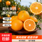 【新鲜上市】湖北秭归纽荷尔脐橙热卖核心产区产地直发 带箱8斤60mm