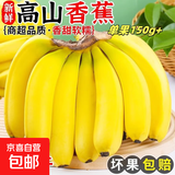 正宗自然高山香蕉单根蕉当季新鲜水果现摘青皮薄皮香甜财敏生鲜 香蕉带箱8斤