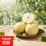 正宗河北皇冠梨产地直发深泽皇冠梨10 皇冠梨带箱2斤装净重1.6-1.8斤