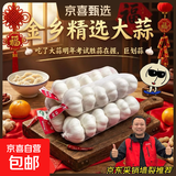 山东金乡蒜大蒜出口标准精选大蒜头蔬菜调料单果5cm 出口标准网兜装箱 2274g 5-5.5cm特大