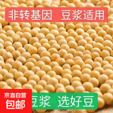 绿豆 黄豆 打豆浆发豆芽五谷杂粮全燕麦麦片绿豆糕饼燕麦粥 黄豆100g 非转基因