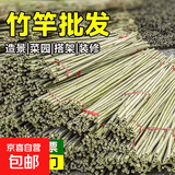 小竹竿菜园搭架豆角黄瓜竹子支架蔬菜爬藤竹杆篱笆栅栏彩旗杆 1-1.5厘米粗2米长 20根【原生耐用】