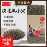 陕北米脂黑小米 山地种植石碾油小米黑小米特优 陕北黑小米5斤
