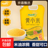 陕西米脂小米 黄小米黑小米 油小米月子米五谷杂粮新米小米粥 米脂黄小米吸嘴袋2500g