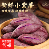 2025新鲜紫薯现挖小紫薯红薯地瓜芋头直播间超市应季生鲜蔬菜 小紫薯迷你宝宝薯 （单果1两以下） 2斤含箱