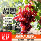 云南克伦生无籽红提现摘先发脆甜多汁 带箱5斤