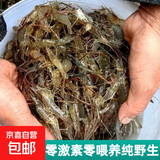 微山湖区淡水河虾鲜活小河虾现捕现冻青虾草虾醉虾五节腿 中号 250g(净重)  单只长度【4-6cm】 二盒装