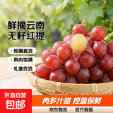 现摘云南新鲜克伦生无籽提红提葡萄生鲜提子水果肉多多礼盒 克伦生无籽提带箱5斤
