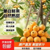 云南蒙自甜枇杷新鲜水果当季长虹琵琶枇杷现摘树上熟整箱 5斤尝鲜装（单果重20克+）